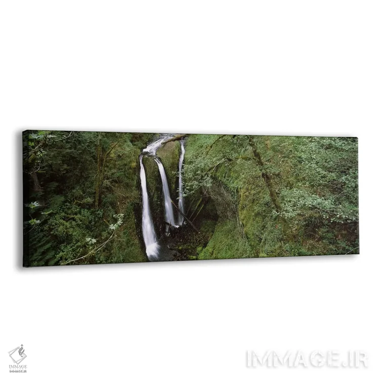 تابلو دکوراتیو Triple Falls, Columbia River Gorge, Oregon, USA,نمای زا… اثر پانورامیک ایمجز - نمای پرسپکتیو محصول