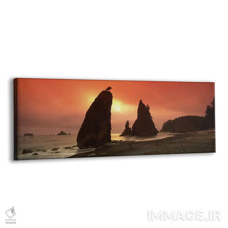 تابلو دکوراتیو Olympic National Park, Washington State, USA,سیلوت صخره… اثر پانورامیک ایمجز - نمای پرسپکتیو محصول