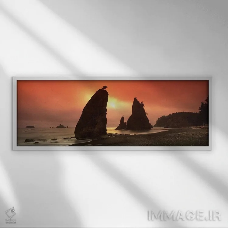 تابلو دکوراتیو Olympic National Park, Washington State, USA,سیلوت صخره… اثر پانورامیک ایمجز - نمای قابدار سفید