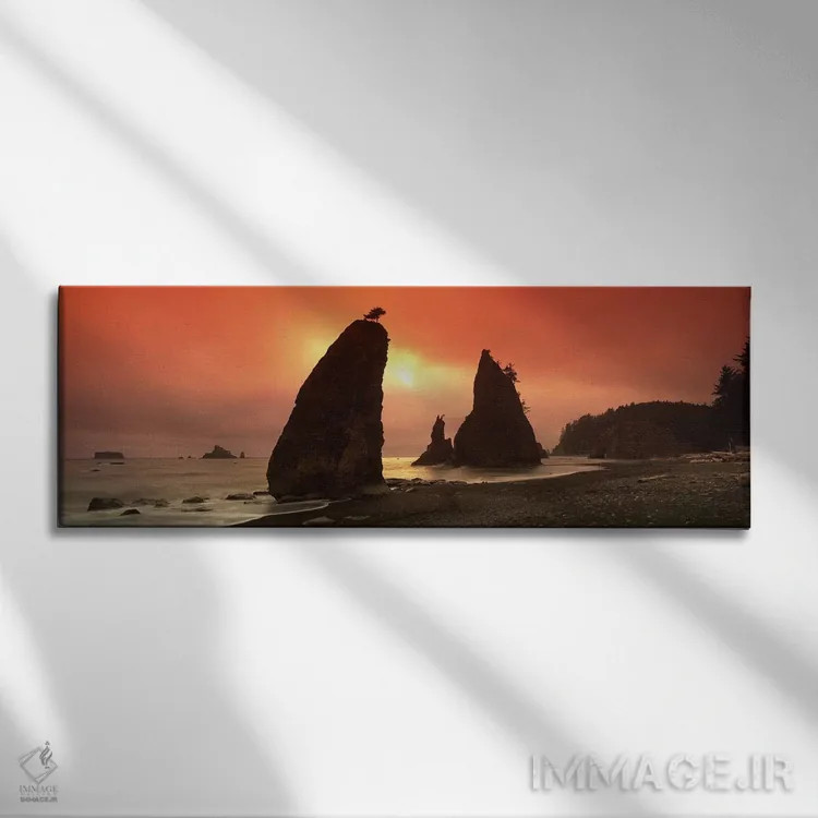 تابلو دکوراتیو Olympic National Park, Washington State, USA,سیلوت صخره… اثر پانورامیک ایمجز - نمای روبهرو روی دیوار