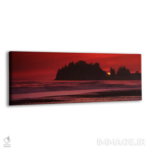 تابلو دکوراتیو Second Beach, Washington State, USA #2,سیلوت صخره های د… اثر پانورامیک ایمجز - نمای پرسپکتیو محصول