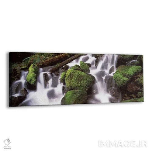 تابلو دکوراتیو Olympic National Park, Washington State, USA,آبشار پله… اثر پانورامیک ایمجز - نمای پرسپکتیو محصول