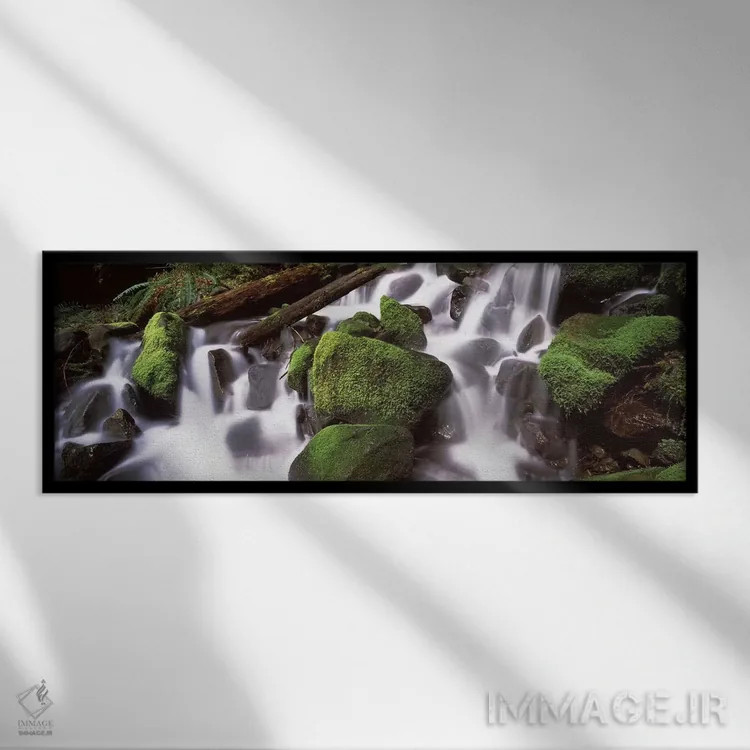 تابلو دکوراتیو Olympic National Park, Washington State, USA,آبشار پله… اثر پانورامیک ایمجز - نمای قابدار مشکی