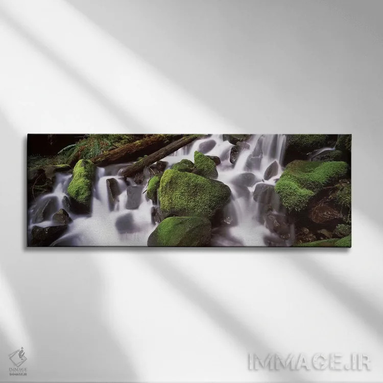 تابلو دکوراتیو Olympic National Park, Washington State, USA,آبشار پله… اثر پانورامیک ایمجز - نمای روبهرو روی دیوار