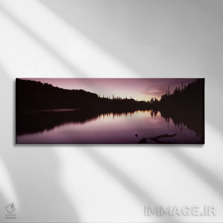 تابلو دکوراتیو Mt Rainier, Pierce County, Washington State, USA #2,باز… اثر پانورامیک ایمجز - نمای روبهرو روی دیوار