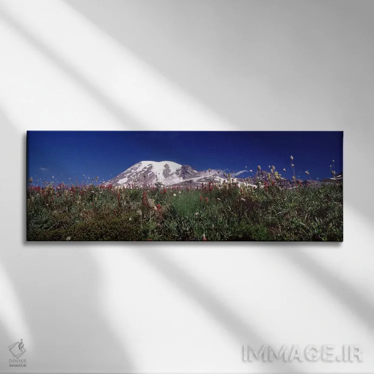 تابلو دکوراتیو Mt Rainier, Pierce County, Washington State, USA,گل های… اثر پانورامیک ایمجز - نمای روبهرو روی دیوار
