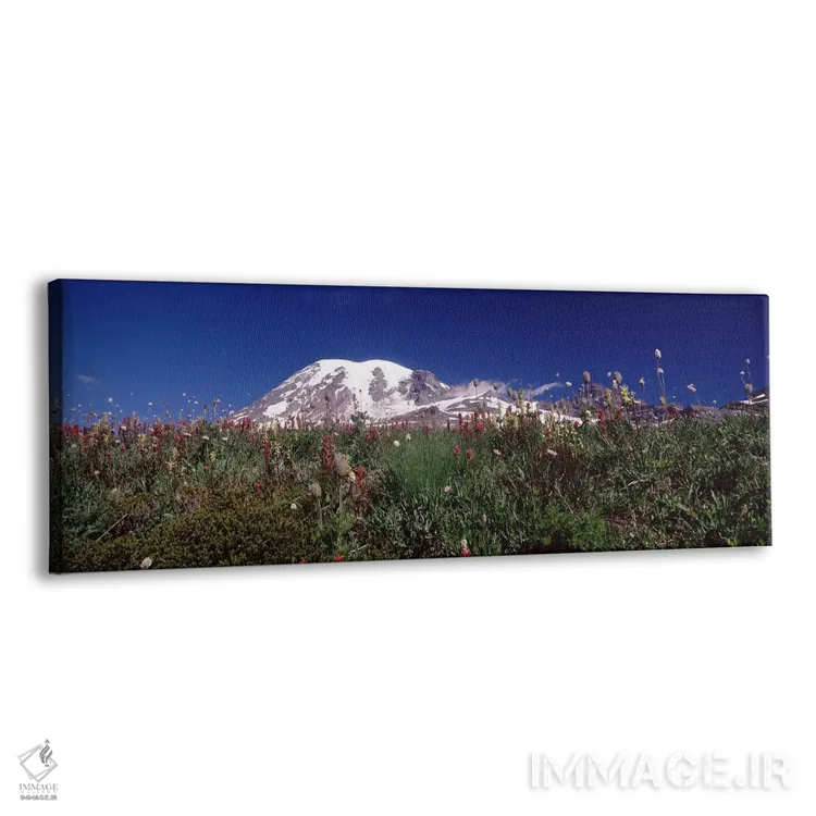 تابلو دکوراتیو Mt Rainier, Pierce County, Washington State, USA,گل های… اثر پانورامیک ایمجز - نمای پرسپکتیو محصول