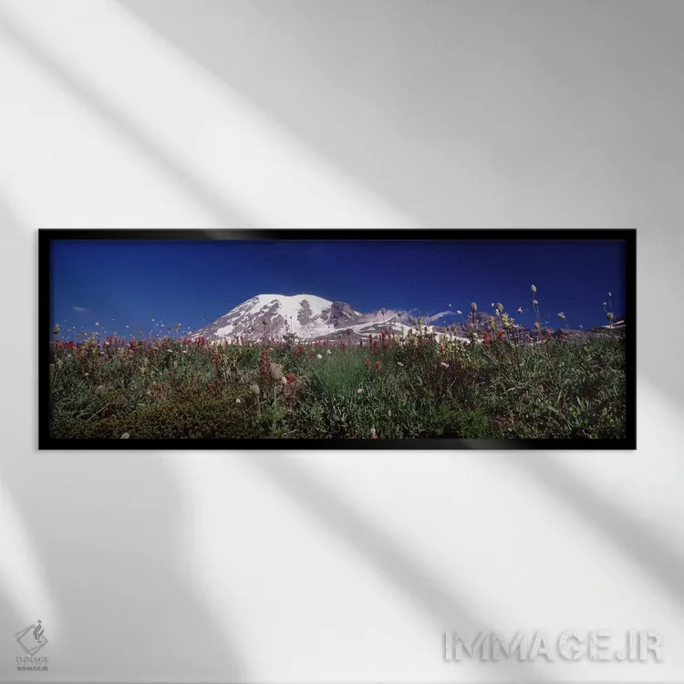 تابلو دکوراتیو Mt Rainier, Pierce County, Washington State, USA,گل های… اثر پانورامیک ایمجز - نمای قابدار مشکی