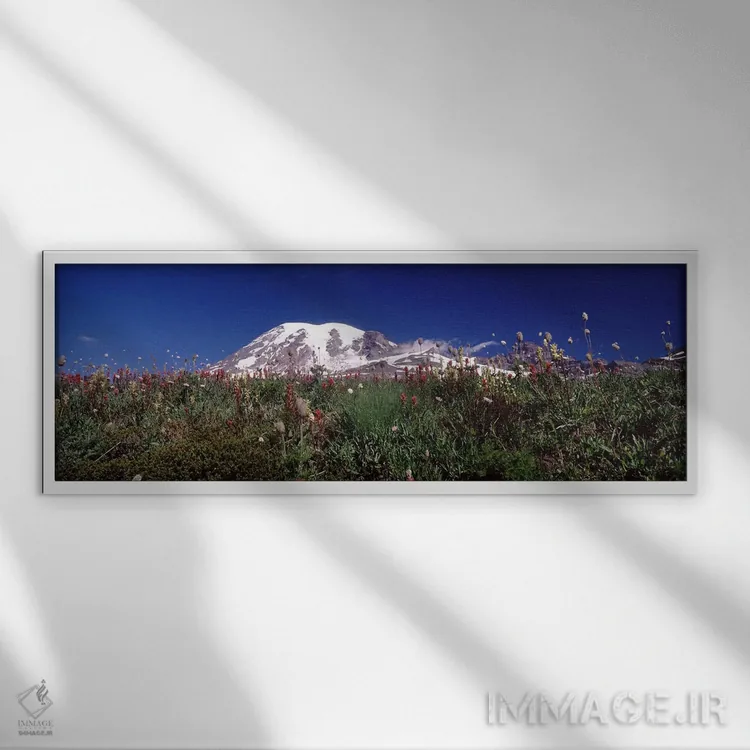 تابلو دکوراتیو Mt Rainier, Pierce County, Washington State, USA,گل های… اثر پانورامیک ایمجز - نمای قابدار سفید