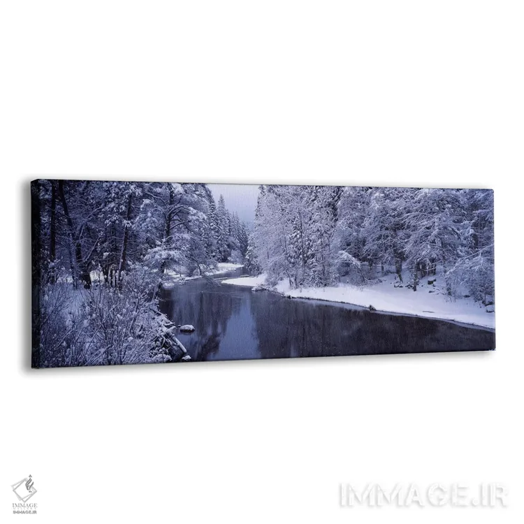 تابلو دکوراتیو Yosemite National Park, California, USA,درختان پوشیده ا… اثر پانورامیک ایمجز - نمای پرسپکتیو محصول