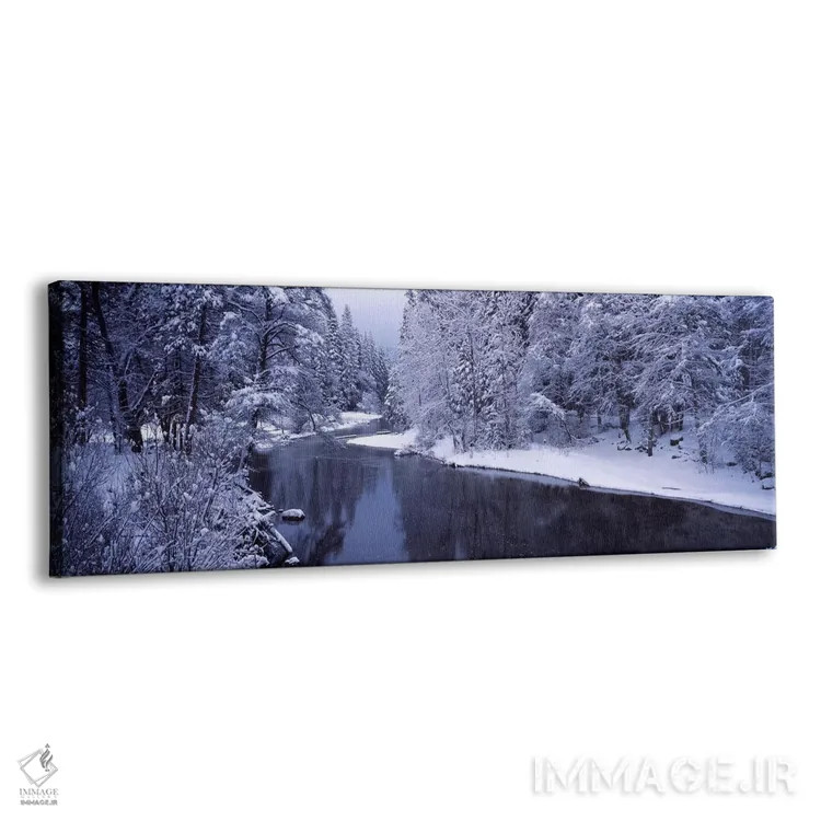 تابلو دکوراتیو Yosemite National Park, California, USA,درختان پوشیده ا… اثر پانورامیک ایمجز - نمای پرسپکتیو محصول