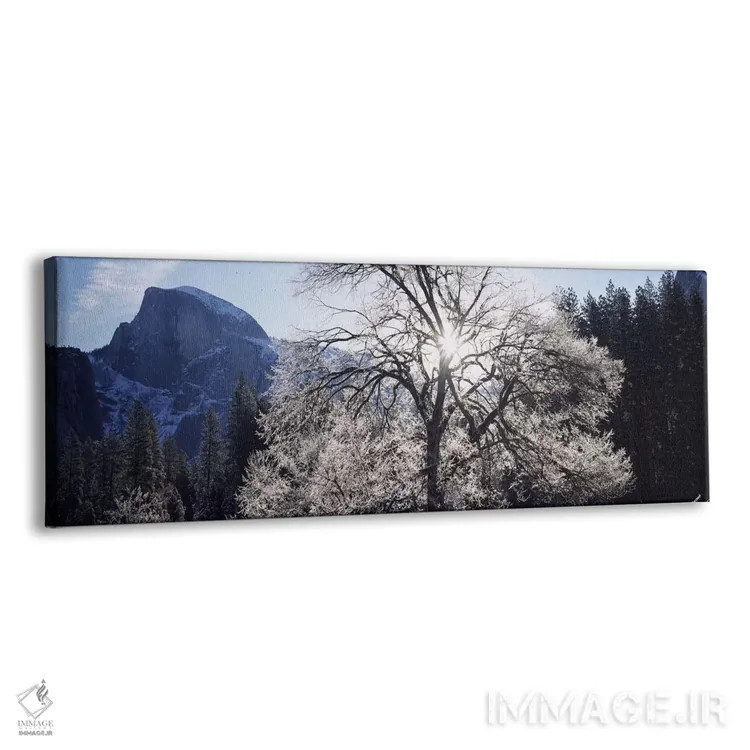 تابلو دکوراتیو Yosemite National Park, California, USA,نمای زاویه پایی… اثر پانورامیک ایمجز - نمای پرسپکتیو محصول