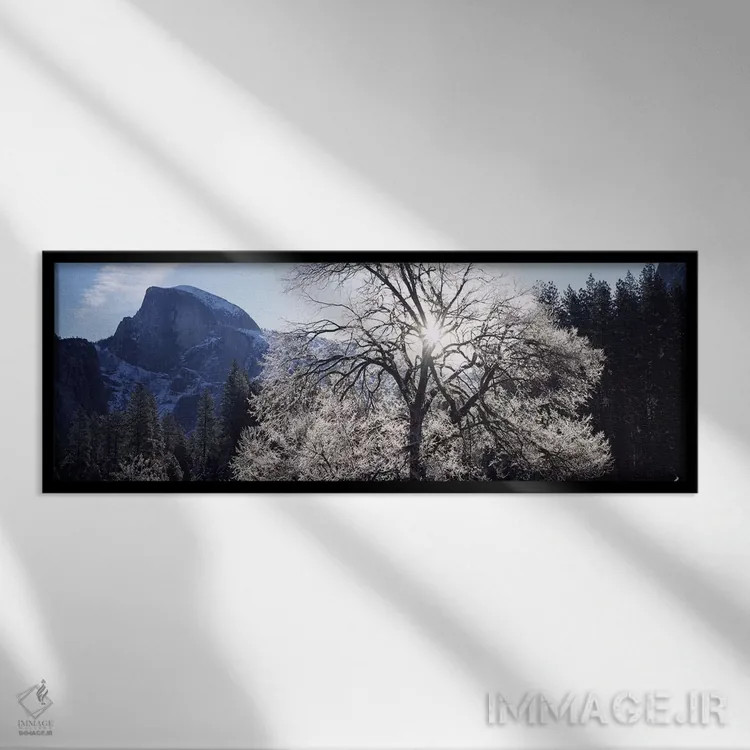 تابلو دکوراتیو Yosemite National Park, California, USA,نمای زاویه پایی… اثر پانورامیک ایمجز - نمای قابدار مشکی