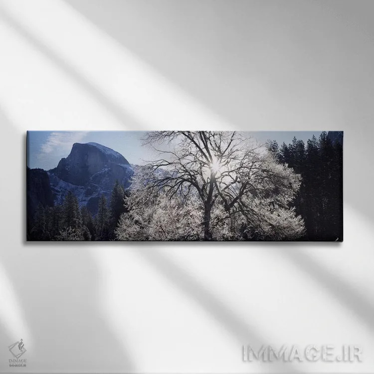 تابلو دکوراتیو Yosemite National Park, California, USA,نمای زاویه پایی… اثر پانورامیک ایمجز - نمای روبهرو روی دیوار
