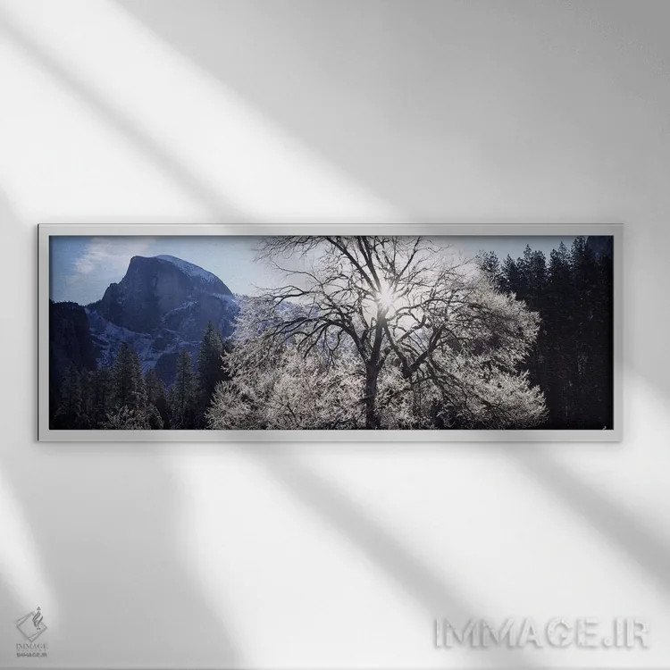 تابلو دکوراتیو Yosemite National Park, California, USA,نمای زاویه پایی… اثر پانورامیک ایمجز - نمای قابدار سفید