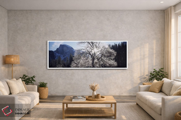 تابلو دکوراتیو Yosemite National Park, California, USA,نمای زاویه پایی… اثر پانورامیک ایمجز - D2W