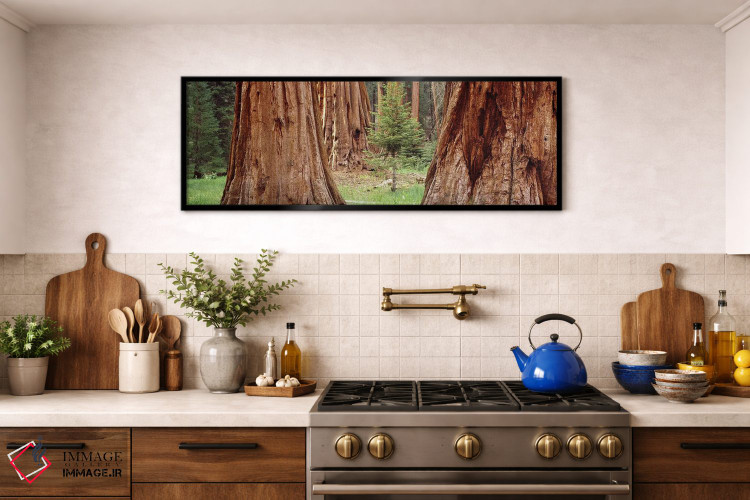 تابلو دکوراتیو Sequoia National Park, California, USA,نهال در میان سکو… اثر پانورامیک ایمجز - D1B