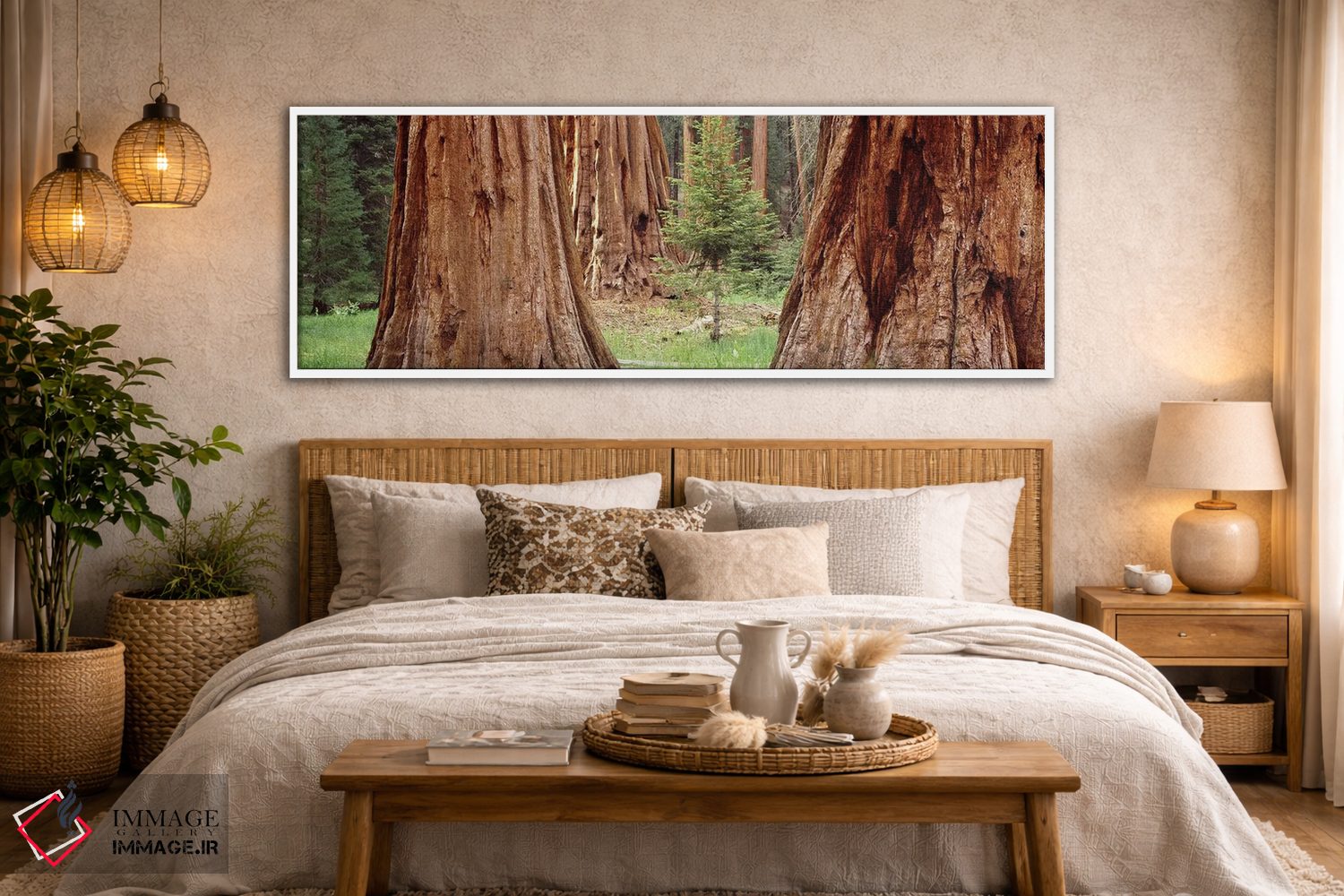 تابلو دکوراتیو Sequoia National Park, California, USA,نهال در میان سکو… اثر پانورامیک ایمجز - D4W