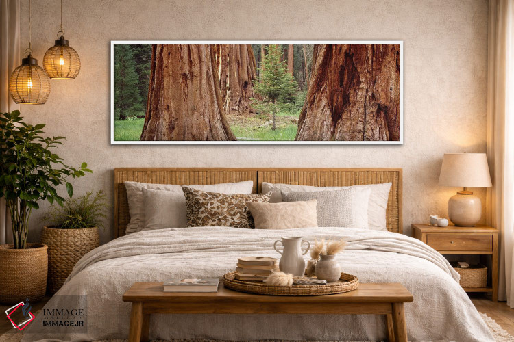 تابلو دکوراتیو Sequoia National Park, California, USA,نهال در میان سکو… اثر پانورامیک ایمجز - D4W