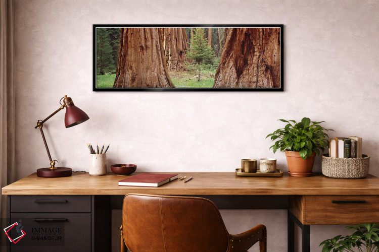 تابلو دکوراتیو Sequoia National Park, California, USA,نهال در میان سکو… اثر پانورامیک ایمجز - D3B
