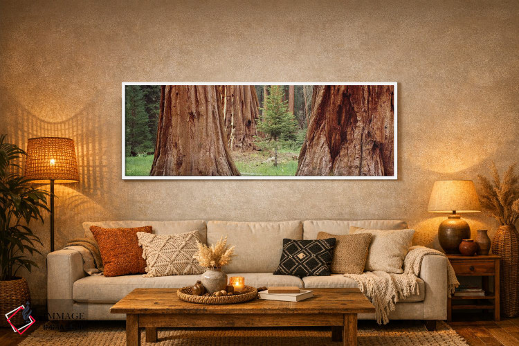 تابلو دکوراتیو Sequoia National Park, California, USA,نهال در میان سکو… اثر پانورامیک ایمجز - D5W