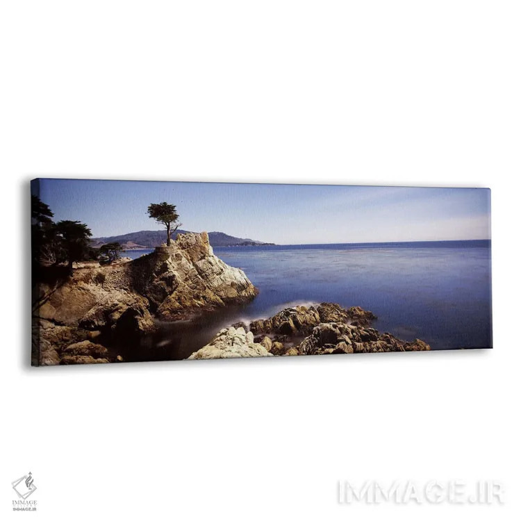تابلو دکوراتیو Pebble Beach, Monterey County, California, USA,درخت سرو… اثر پانورامیک ایمجز - نمای پرسپکتیو محصول