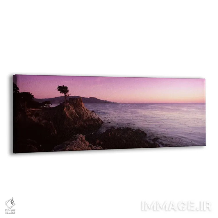 تابلو دکوراتیو Pebble Beach, Monterey County, California, USA,منظره سا… اثر پانورامیک ایمجز - نمای پرسپکتیو محصول
