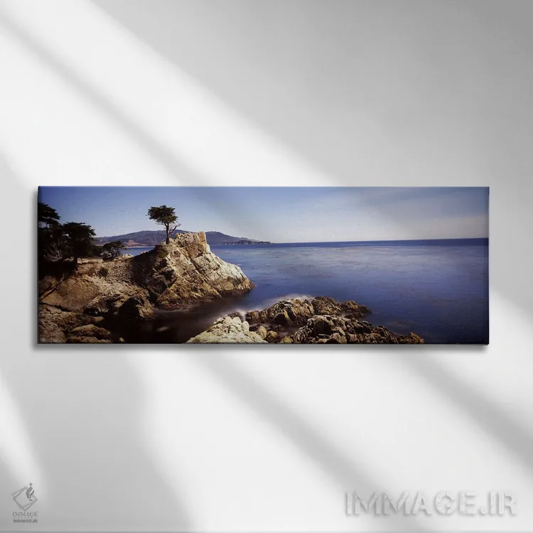 تابلو دکوراتیو Pebble Beach, Monterey County, California, USA,درخت سرو… اثر پانورامیک ایمجز - نمای روبهرو روی دیوار