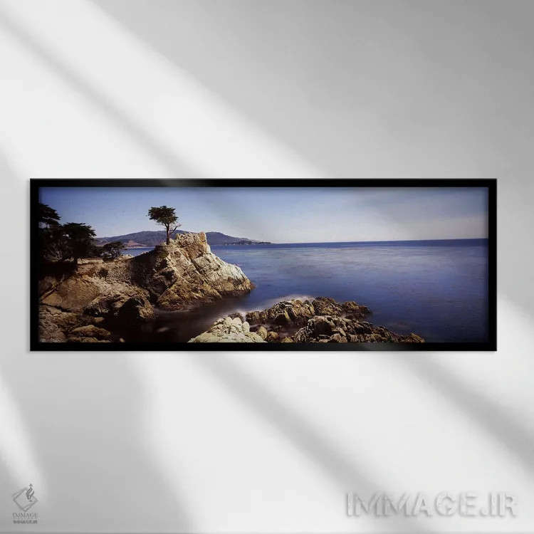 تابلو دکوراتیو Pebble Beach, Monterey County, California, USA,درخت سرو… اثر پانورامیک ایمجز - نمای قابدار مشکی