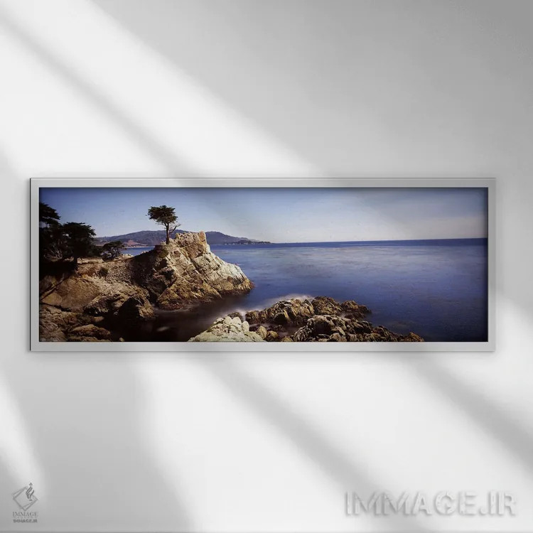 تابلو دکوراتیو Pebble Beach, Monterey County, California, USA,درخت سرو… اثر پانورامیک ایمجز - نمای قابدار سفید
