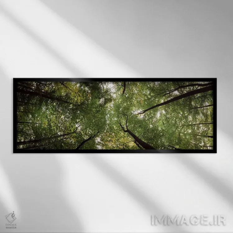 تابلو دکوراتیو Bavaria, Germany #2,نمای زاویه پایین از درختان، بایرن… اثر پانورامیک ایمجز - نمای قابدار مشکی