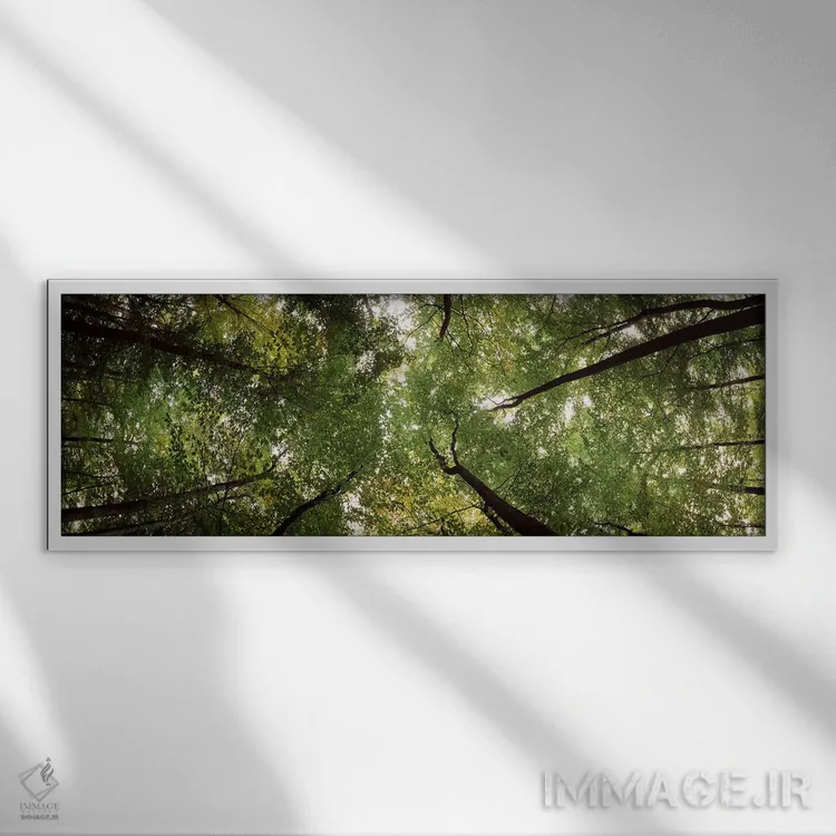 تابلو دکوراتیو Bavaria, Germany #2,نمای زاویه پایین از درختان، بایرن… اثر پانورامیک ایمجز - نمای قابدار سفید