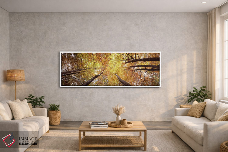 تابلو دکوراتیو Bavaria, Germany,نمای زاویه پایین از درختان، بایرن، آلم… اثر پانورامیک ایمجز - D2W