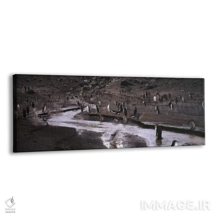 تابلو دکوراتیو Deception Island, South Shetland Islands, Antarctica,پن… اثر پانورامیک ایمجز - نمای پرسپکتیو محصول