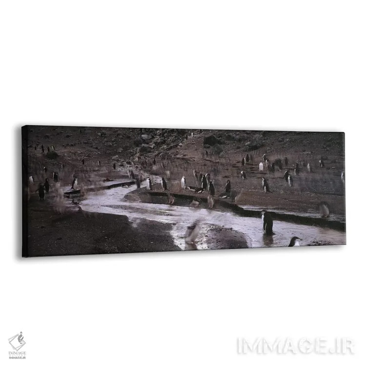 تابلو دکوراتیو Deception Island, South Shetland Islands, Antarctica,پن… اثر پانورامیک ایمجز - نمای پرسپکتیو محصول