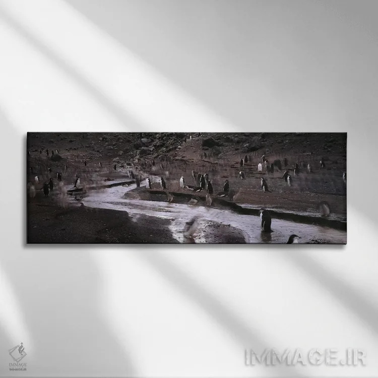 تابلو دکوراتیو Deception Island, South Shetland Islands, Antarctica,پن… اثر پانورامیک ایمجز - نمای روبهرو روی دیوار
