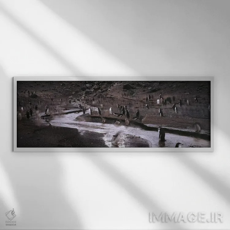 تابلو دکوراتیو Deception Island, South Shetland Islands, Antarctica,پن… اثر پانورامیک ایمجز - نمای قابدار سفید