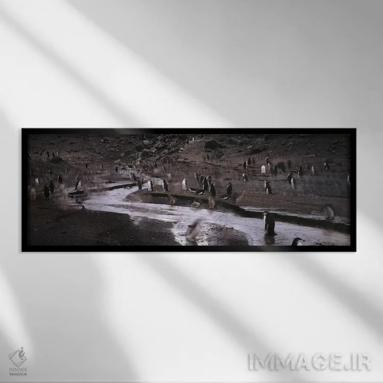 تابلو دکوراتیو Deception Island, South Shetland Islands, Antarctica,پن… اثر پانورامیک ایمجز - نمای قابدار مشکی