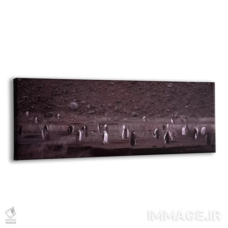 تابلو دکوراتیو Baily Head, Deception Island, South Shetland Islands, A… اثر پانورامیک ایمجز - نمای پرسپکتیو محصول