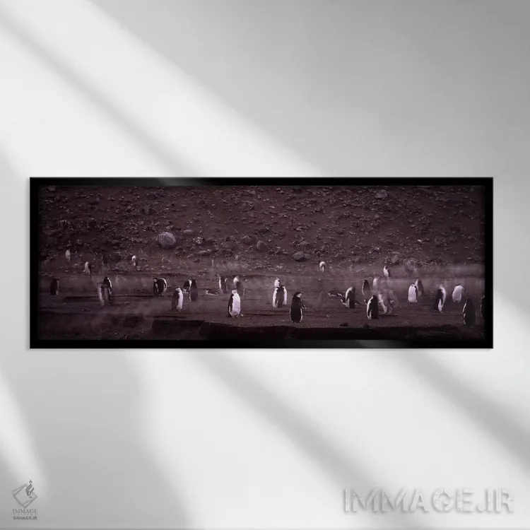تابلو دکوراتیو Baily Head, Deception Island, South Shetland Islands, A… اثر پانورامیک ایمجز - نمای قابدار مشکی