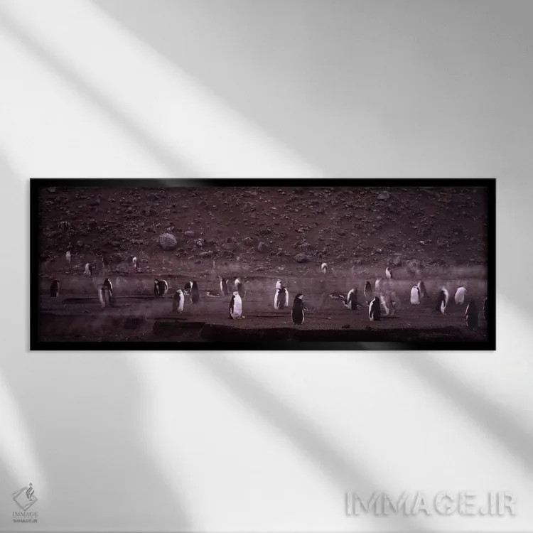 تابلو دکوراتیو Baily Head, Deception Island, South Shetland Islands, A… اثر پانورامیک ایمجز - نمای قابدار مشکی