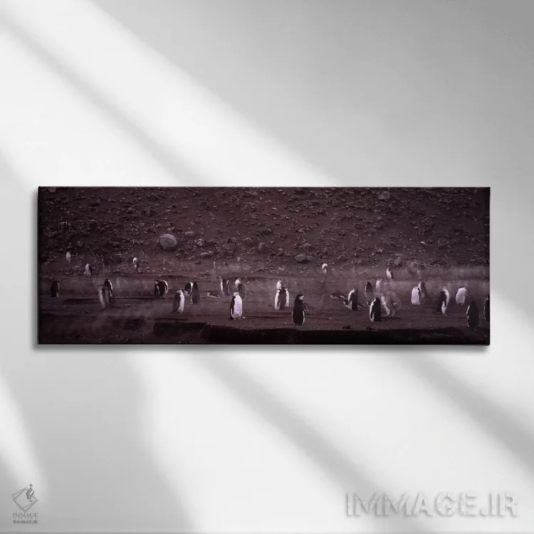 تابلو دکوراتیو Baily Head, Deception Island, South Shetland Islands, A… اثر پانورامیک ایمجز - نمای روبهرو روی دیوار