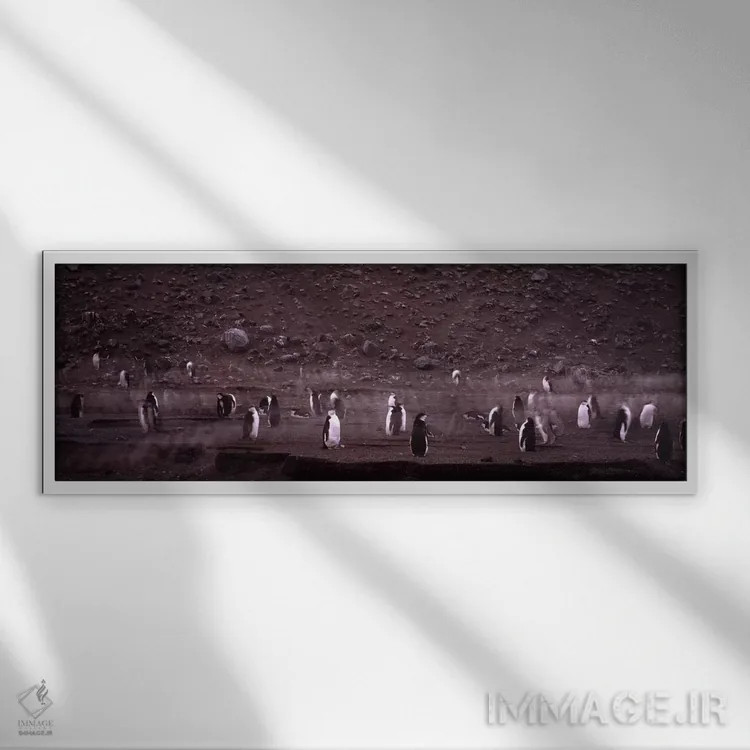 تابلو دکوراتیو Baily Head, Deception Island, South Shetland Islands, A… اثر پانورامیک ایمجز - نمای قابدار سفید