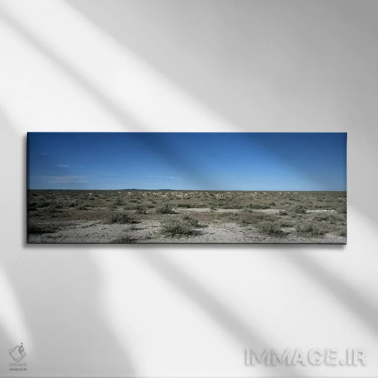 تابلو دکوراتیو Kunene Region, Namibia,گله اسپرینگ باک در حال چرا در طب… اثر پانورامیک ایمجز - نمای روبهرو روی دیوار