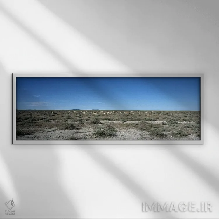 تابلو دکوراتیو Kunene Region, Namibia,گله اسپرینگ باک در حال چرا در طب… اثر پانورامیک ایمجز - نمای قابدار سفید