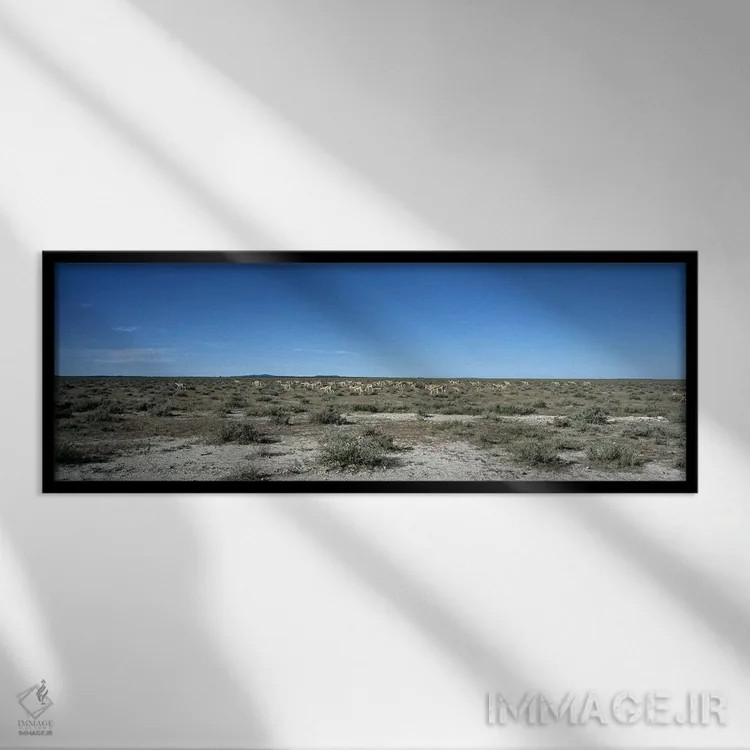 تابلو دکوراتیو Kunene Region, Namibia,گله اسپرینگ باک در حال چرا در طب… اثر پانورامیک ایمجز - نمای قابدار مشکی