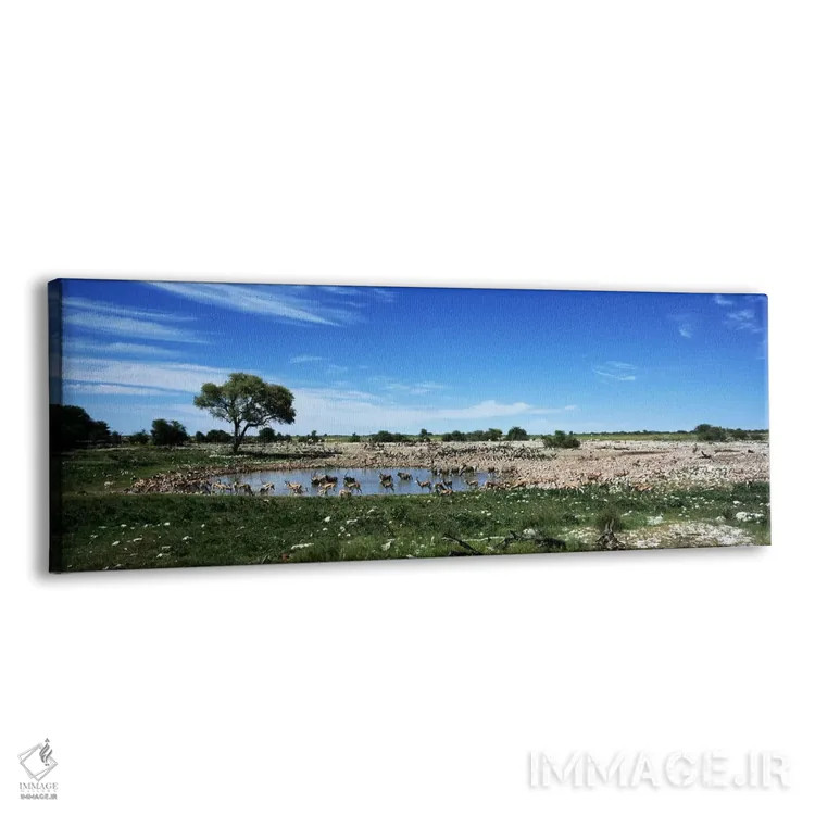 تابلو دکوراتیو Etosha National Park, Kunene Region, Namibia,حیوانات وح… اثر پانورامیک ایمجز - نمای پرسپکتیو محصول