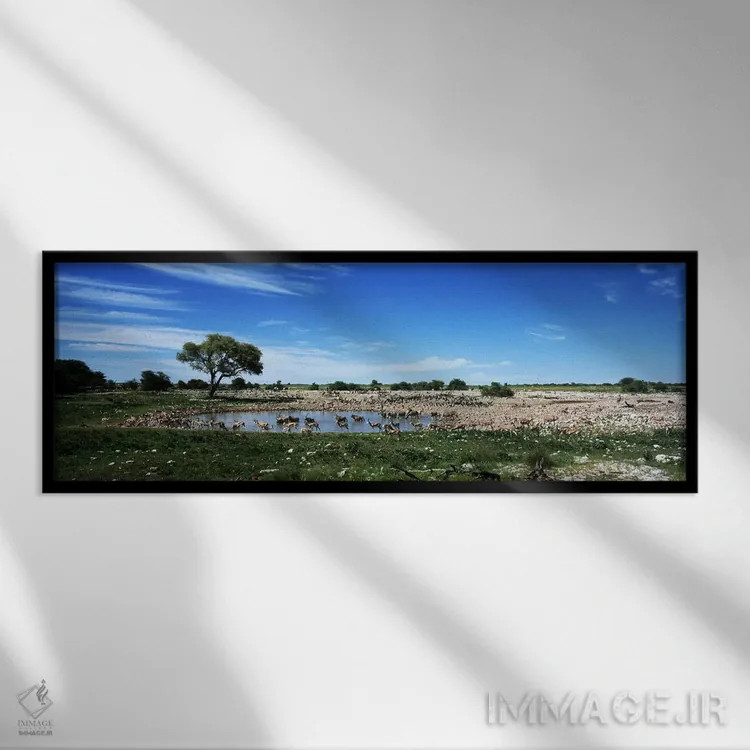 تابلو دکوراتیو Etosha National Park, Kunene Region, Namibia,حیوانات وح… اثر پانورامیک ایمجز - نمای قابدار مشکی