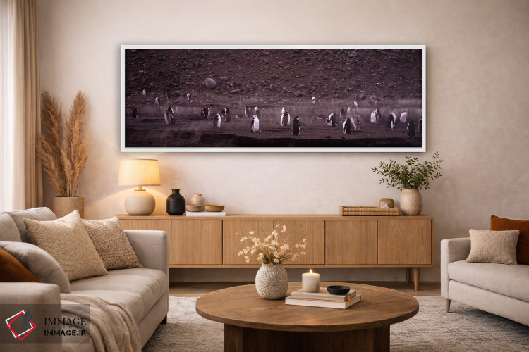 تابلو دکوراتیو Baily Head, Deception Island, South Shetland Islands, A… اثر پانورامیک ایمجز - D4W