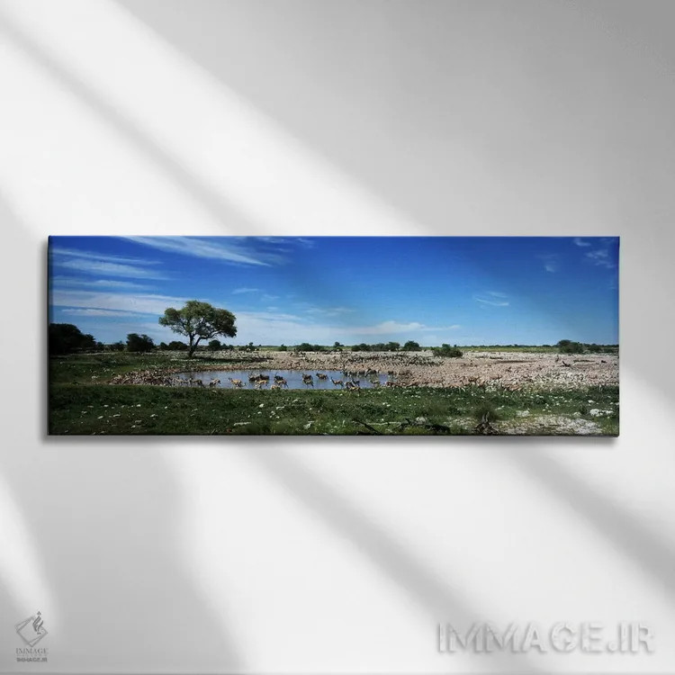 تابلو دکوراتیو Etosha National Park, Kunene Region, Namibia,حیوانات وح… اثر پانورامیک ایمجز - نمای روبهرو روی دیوار